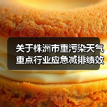 关于株洲市重污染天气重点行业应急减排绩效评级第一批提级企业名单的公示（图2）