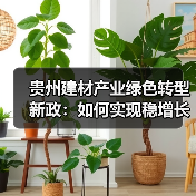 贵州建材产业绿色转型新政：如何实现稳增长促转型增效益？（图2）