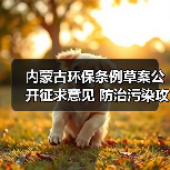 内蒙古环保条例草案公开征求意见 防治污染攻坚引关注（图2）