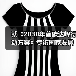 就《2030年前碳达峰行动方案》专访国家发展改革委负责人