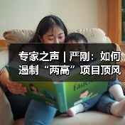 专家之声 | 严刚：如何遏制“两高”项目顶风上马