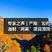 专家之声 | 严刚:如何遏制“两高”项目顶风上马(图3) 专家之声 | 严刚:如何遏制“两高”项目顶风上马(图3)