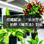 权威解读：“长出牙齿”的新《噪声法》到底有何亮点？（图3）