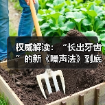 权威解读：“长出牙齿”的新《噪声法》到底有何亮点？